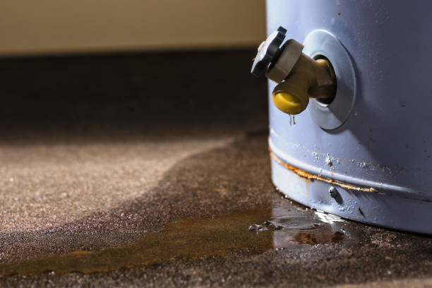 Best Professional water damage repair  in Nice, CA
