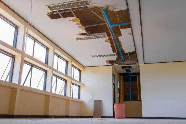 Best Ceiling water damage repair  in Nice, CA