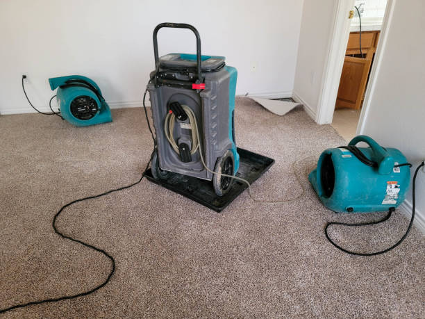 Best Commercial water damage restoration  in Nice, CA