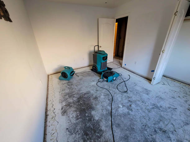 Best Sewage cleanup and water damage restoration  in Nice, CA