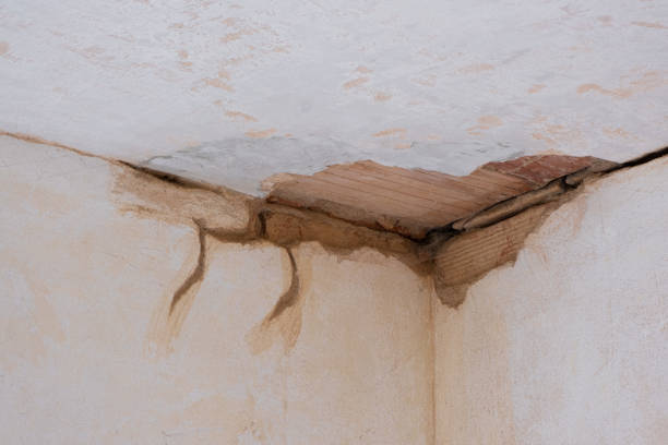Best Flood damage cleanup  in Nice, CA
