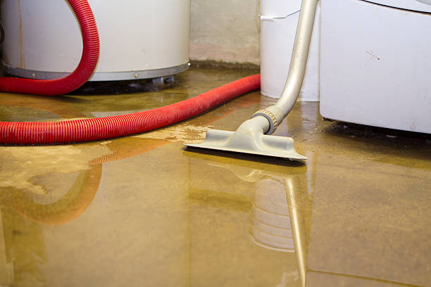 Best Water damage contractors near me  in Nice, CA