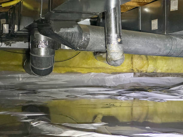 Best Water damage restoration near me  in Nice, CA